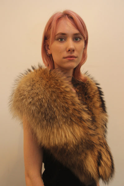 Raccoon Collar